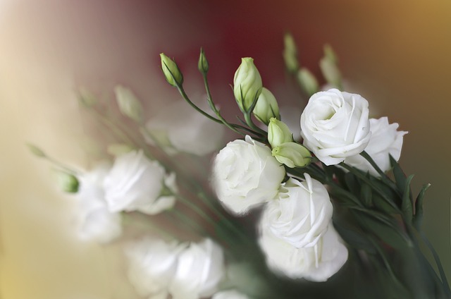 母の日に亡き母へ感謝を静かに届ける花束のイメージ