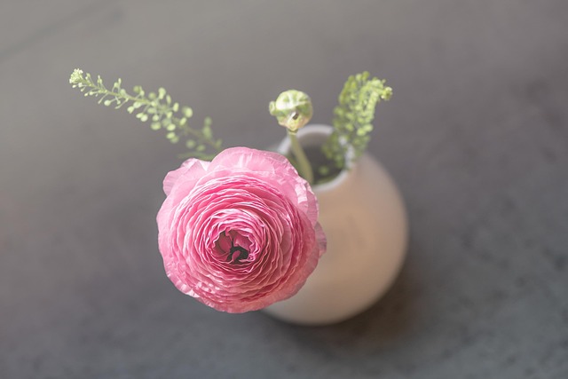 母の日のお参りに供えるラナンキュラスの花